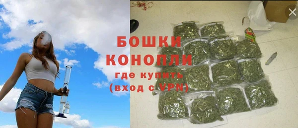 PSILOCYBIN Горнозаводск
