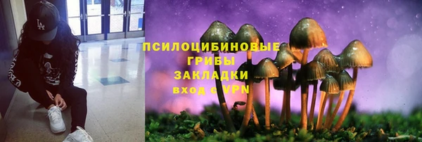 круглые Вяземский