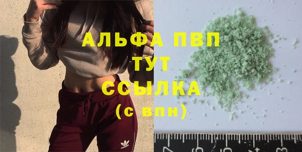 скорость Новозыбков