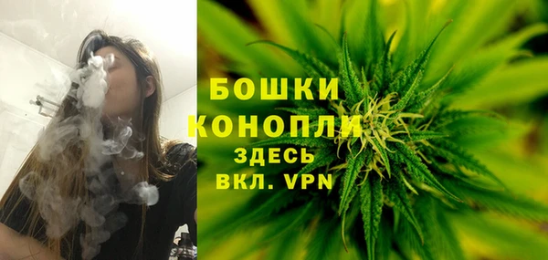 круглые Вяземский